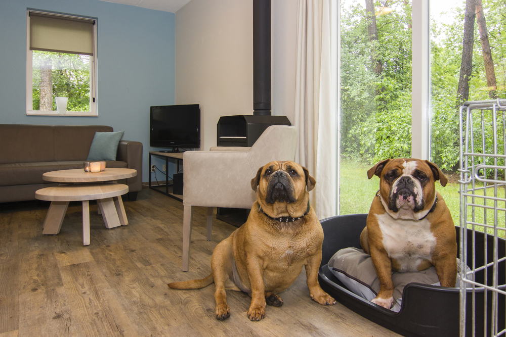 Landal Twenhaarsveld_Hunde