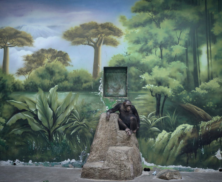 © Zed Nelson, United Kingdom, Finalist, Professional competition, Wildlife & Nature, Sony World Photography Awards 2025 - 9