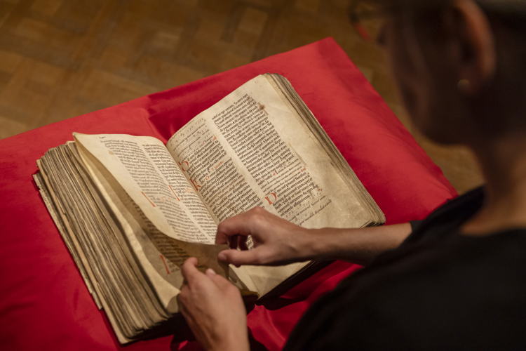 © Erfgoedbibliotheek Hendrik Conscience, fotograaf Ans Brys
