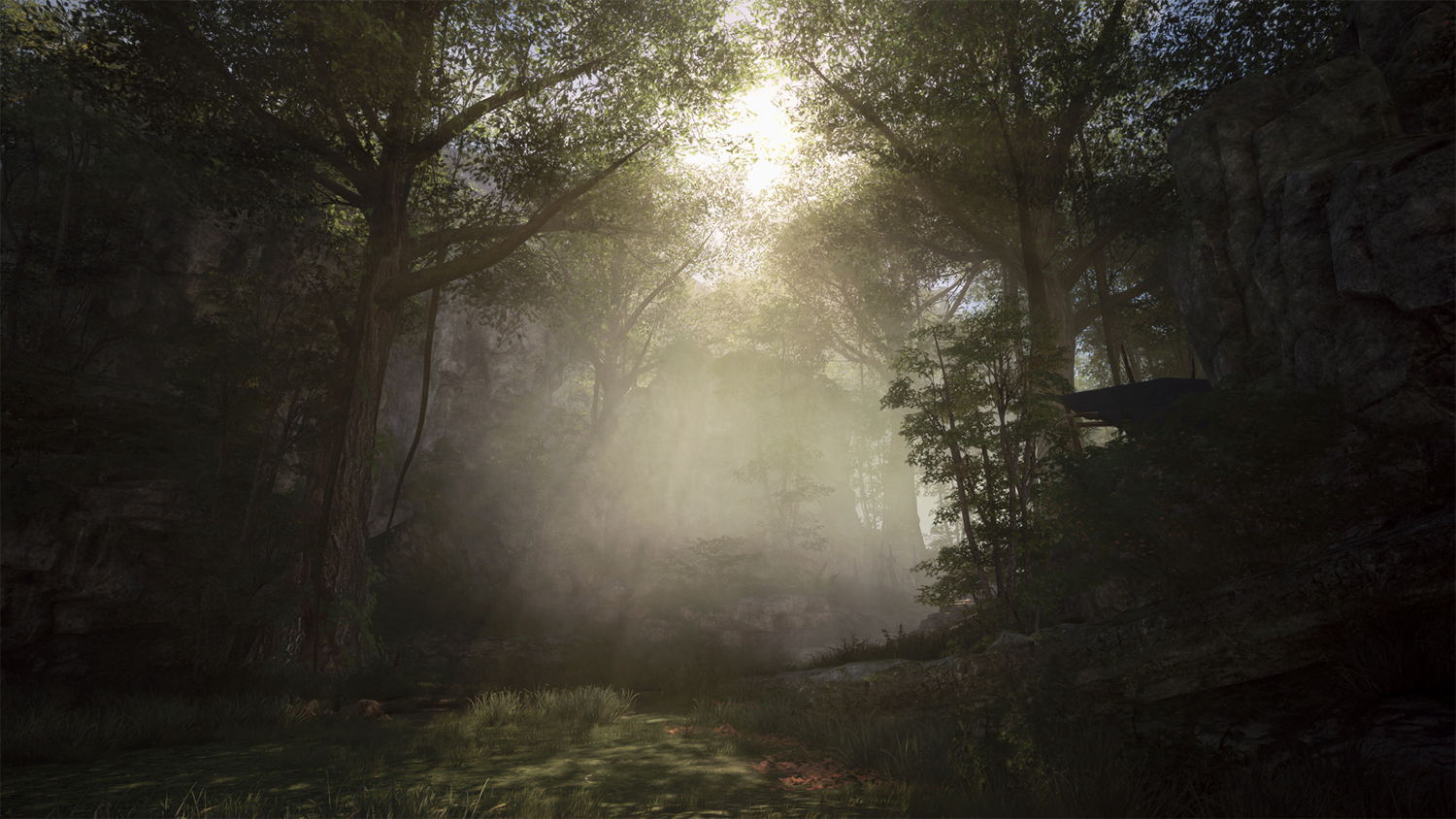 Wuyu Hummock Forest