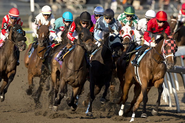 Pick-5 Carryover Today at Woodbine Racetrack