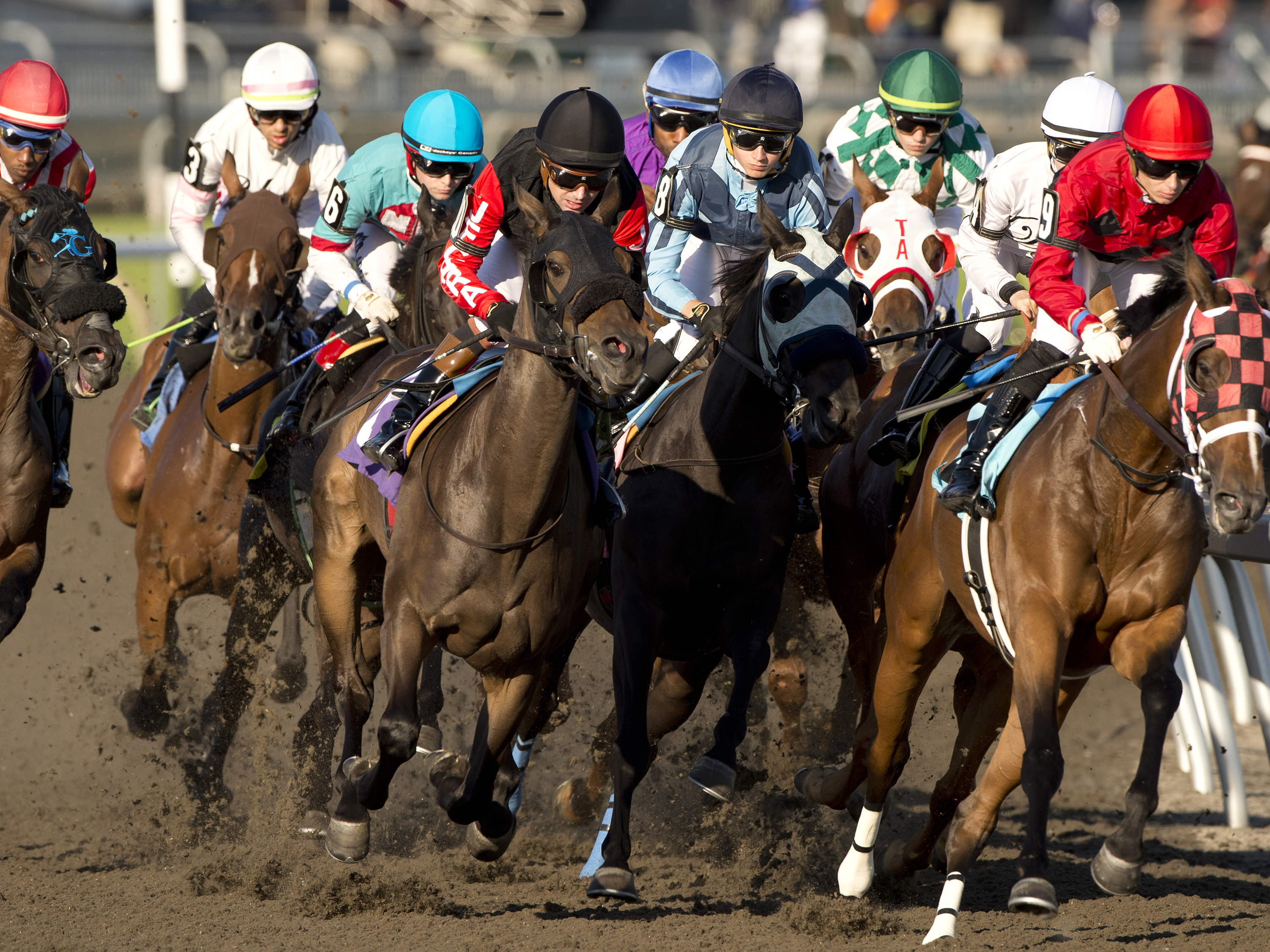 Woodbine cancels live racing Sunday due to high winds