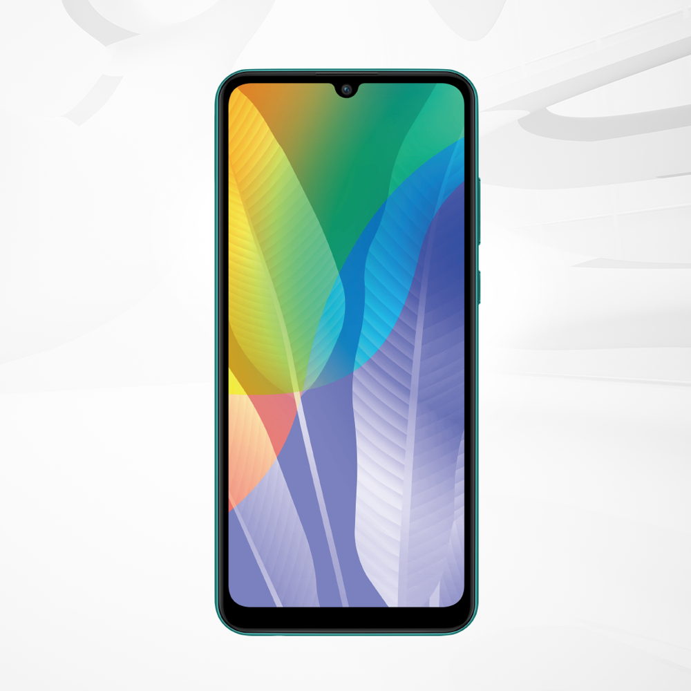 Y6P