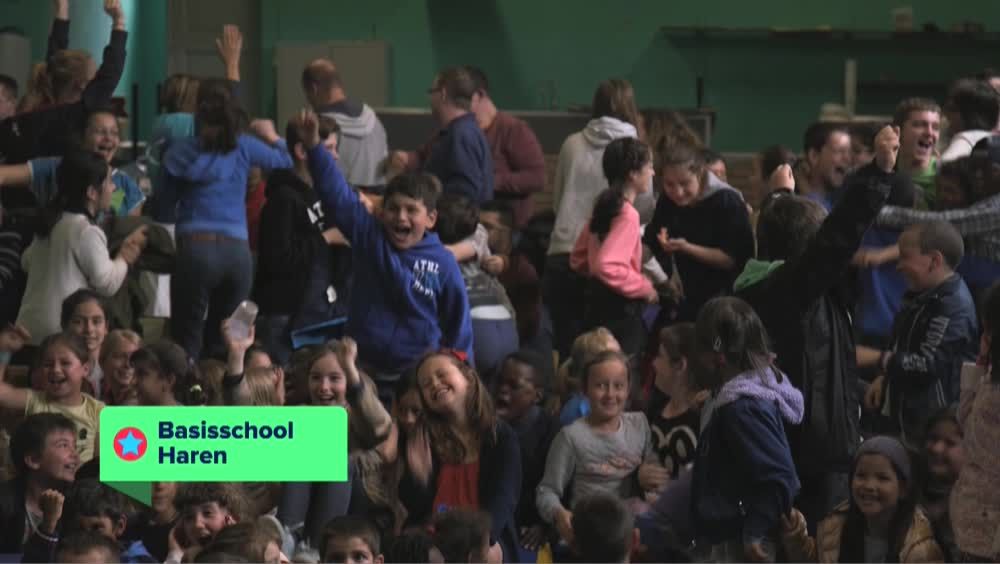 Kameleon in Haren: bekendmaking - (c) VRT