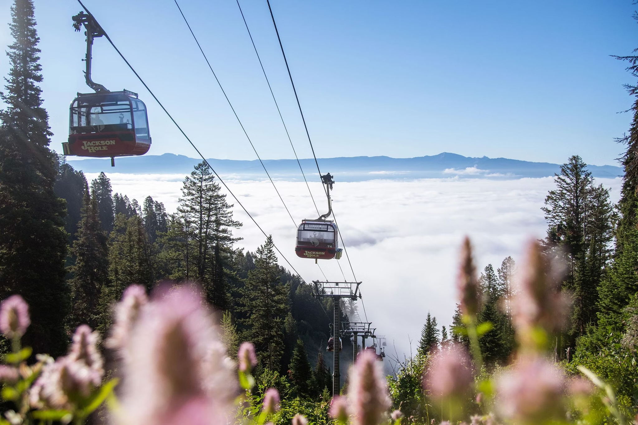 Jackson Hole, Wyoming