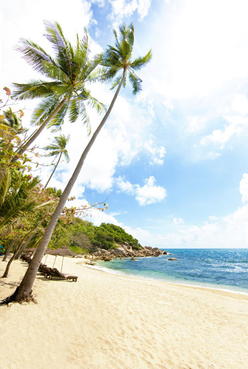 Samui