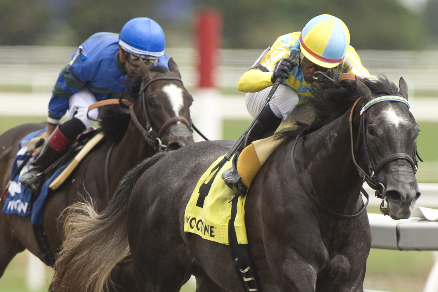 Summertime Magic, under Patrick Husbands, wins the $100,000 Ruling Angel Stakes at Woodbine on May 21st, 2022. (Michael Burns Photo)
