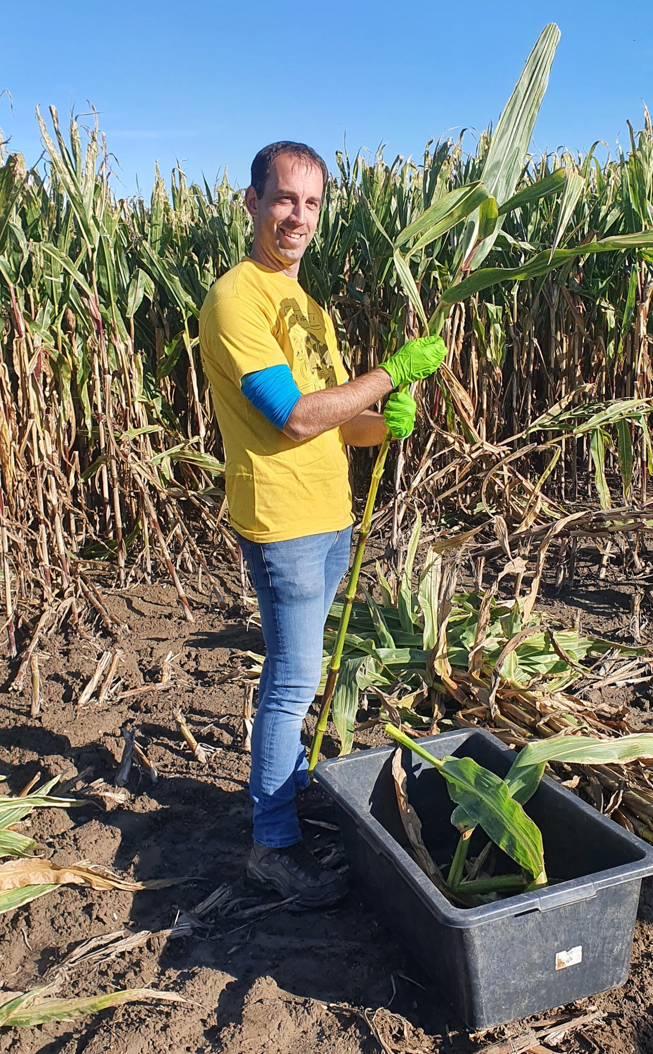 Postdoctoral researcher Tom Van Hautegem