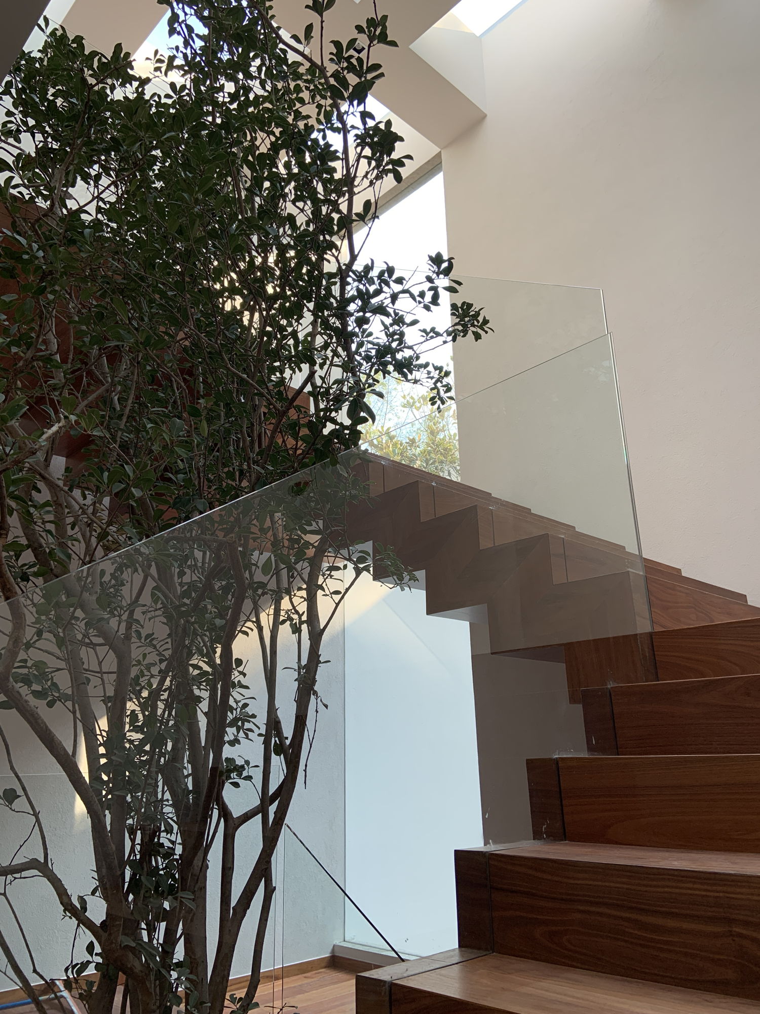 105 Francisco Sosa, Coyoacán, CDMX