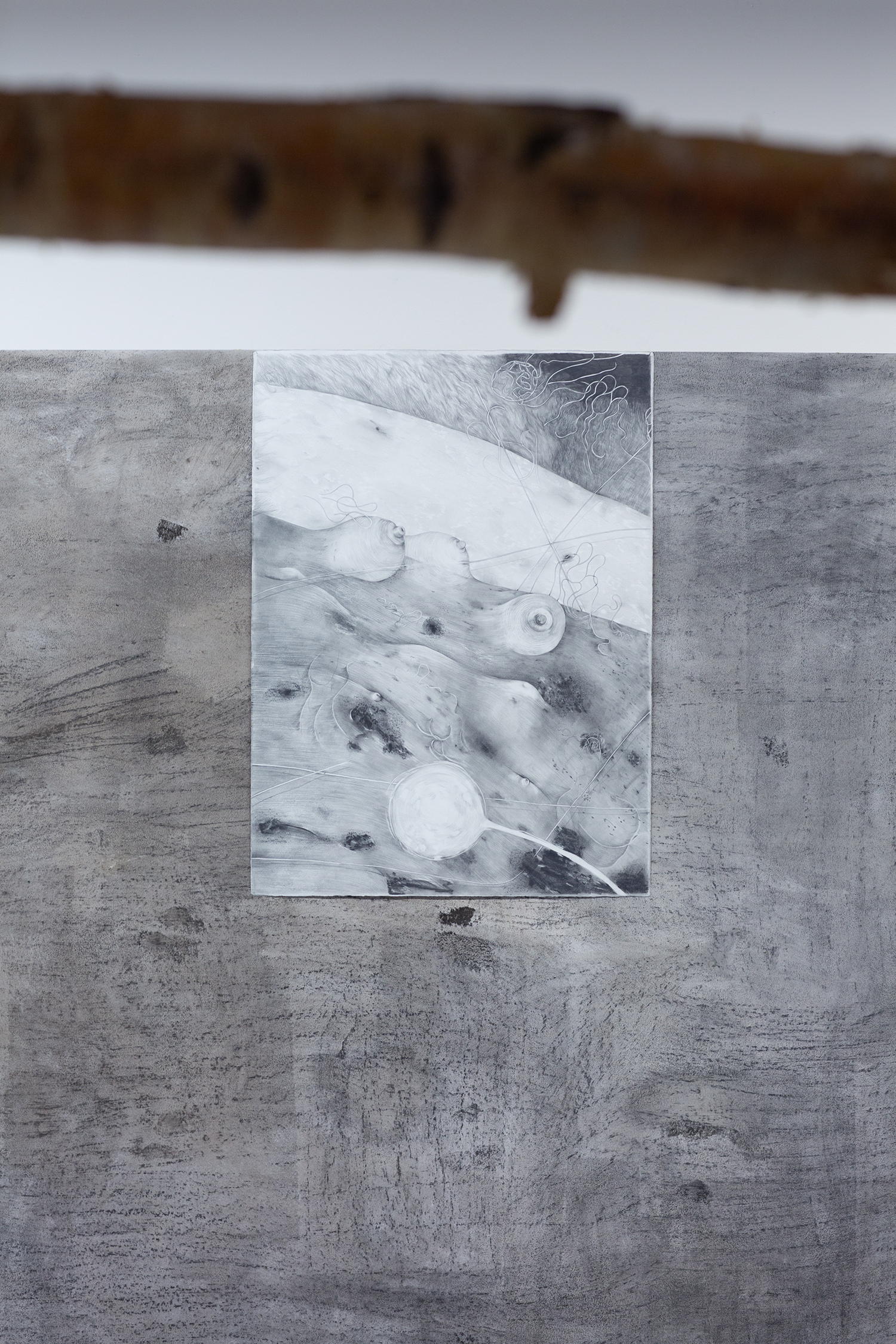 Tom Hallet, To A. McKinney (pencil on paper), 2023, 75 x 57 cm, M HKA, Antwerpen - Photography by Ilse Raps