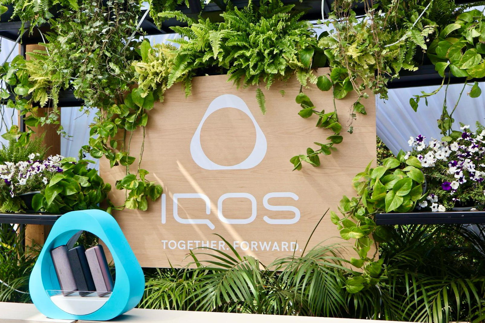 Los vinos más top se disfrutan sin humo: la llegada de IQOS a Guadalajara comienza en “De la Viña a la Copa” 