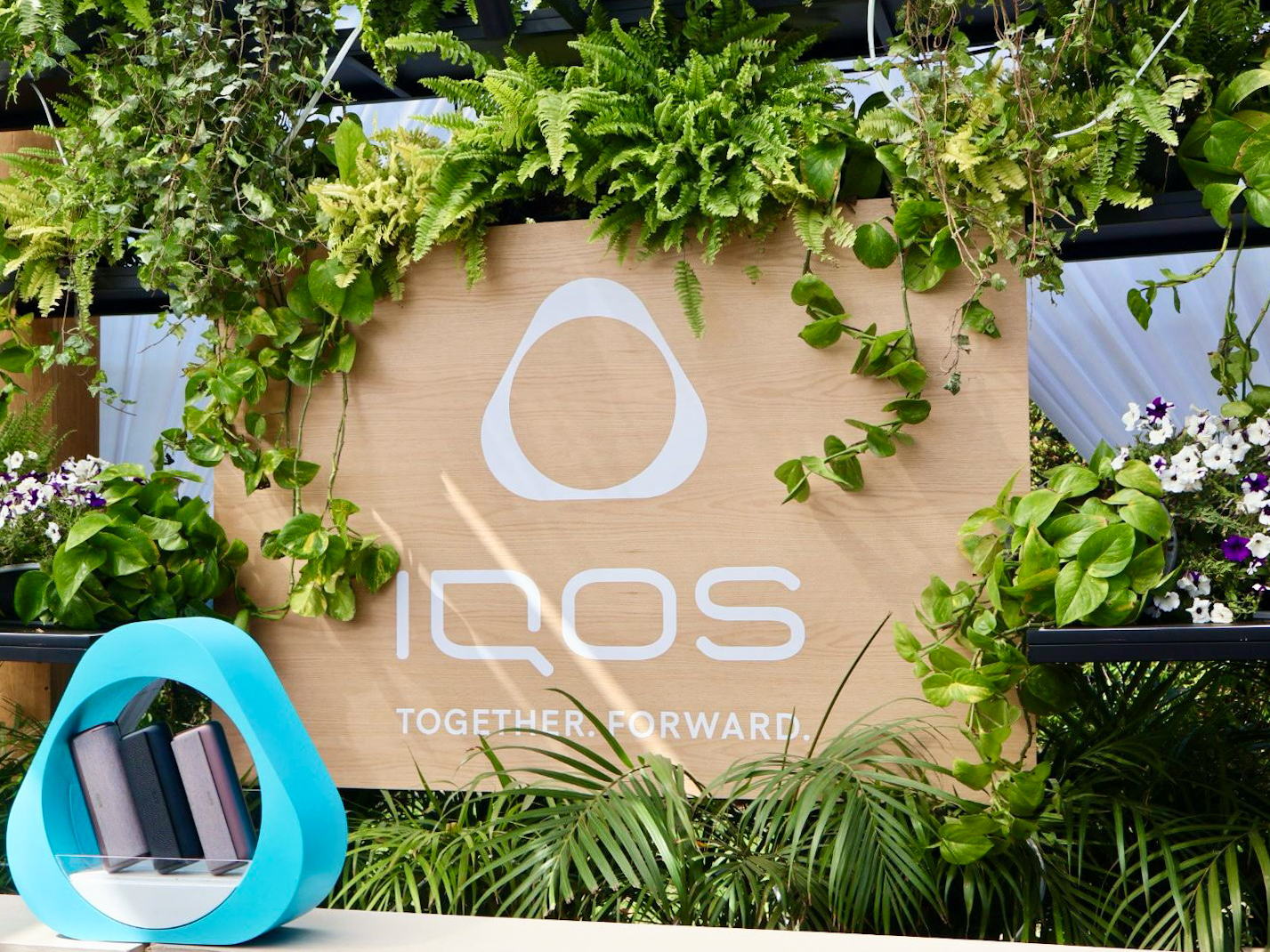 Los vinos más top se disfrutan sin humo: la llegada de IQOS a Guadalajara comienza en “De la Viña a la Copa” 