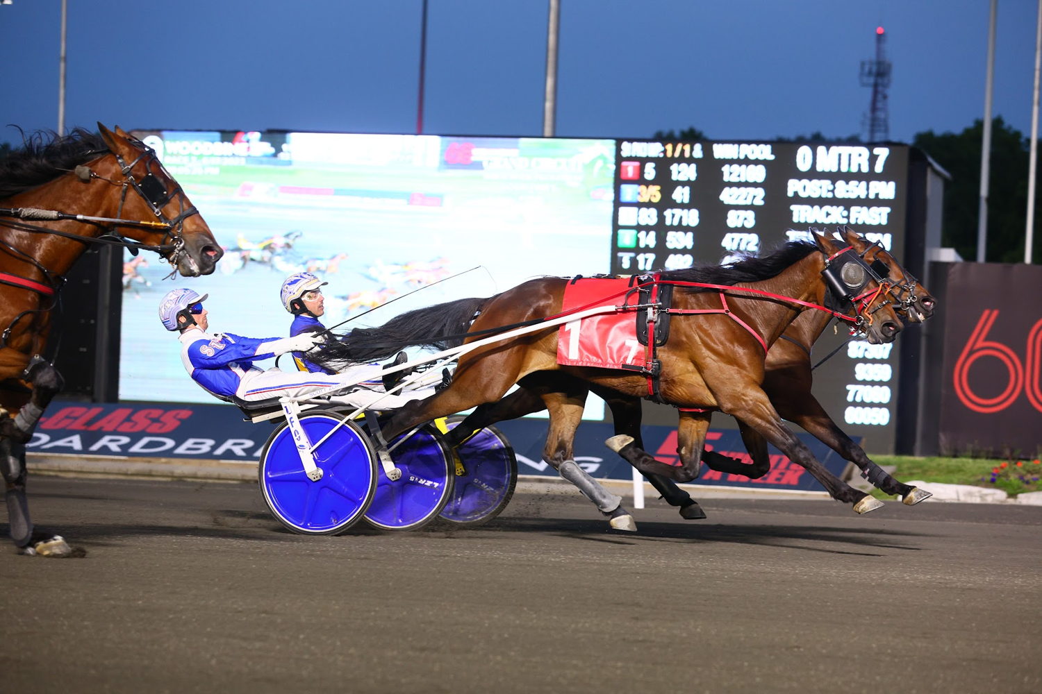 Southwind Coors and driver Scott Zeron winning the Goodtimes Final on June 17, 2023 at Woodbine Mohawk Park (New Image Media)