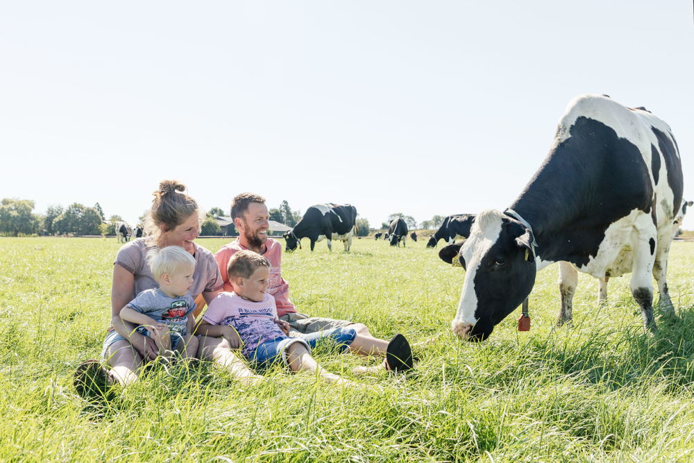 Cheese Valley © De Twee Hoeven