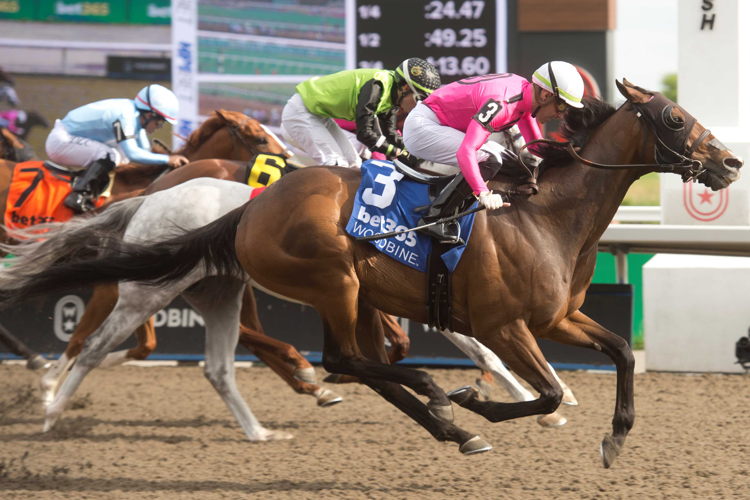 Palazzi and jockey Sahin Civaci winning the bet365 Eclipse Stakes on June 1, 2024 at Woodbine (Michael Burns Photo)
