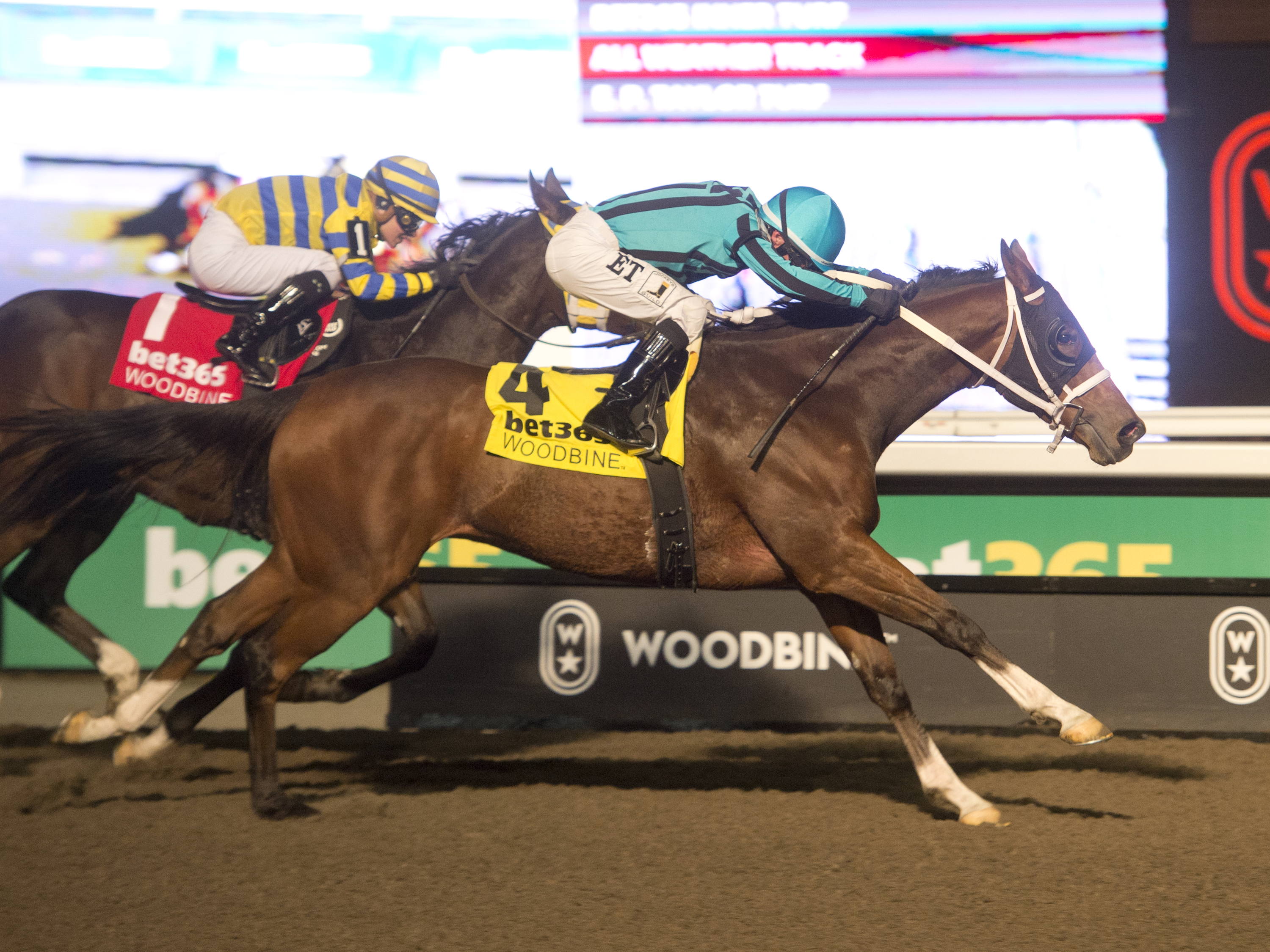 Nobals back to defend Grade 2 Kennedy Road crown