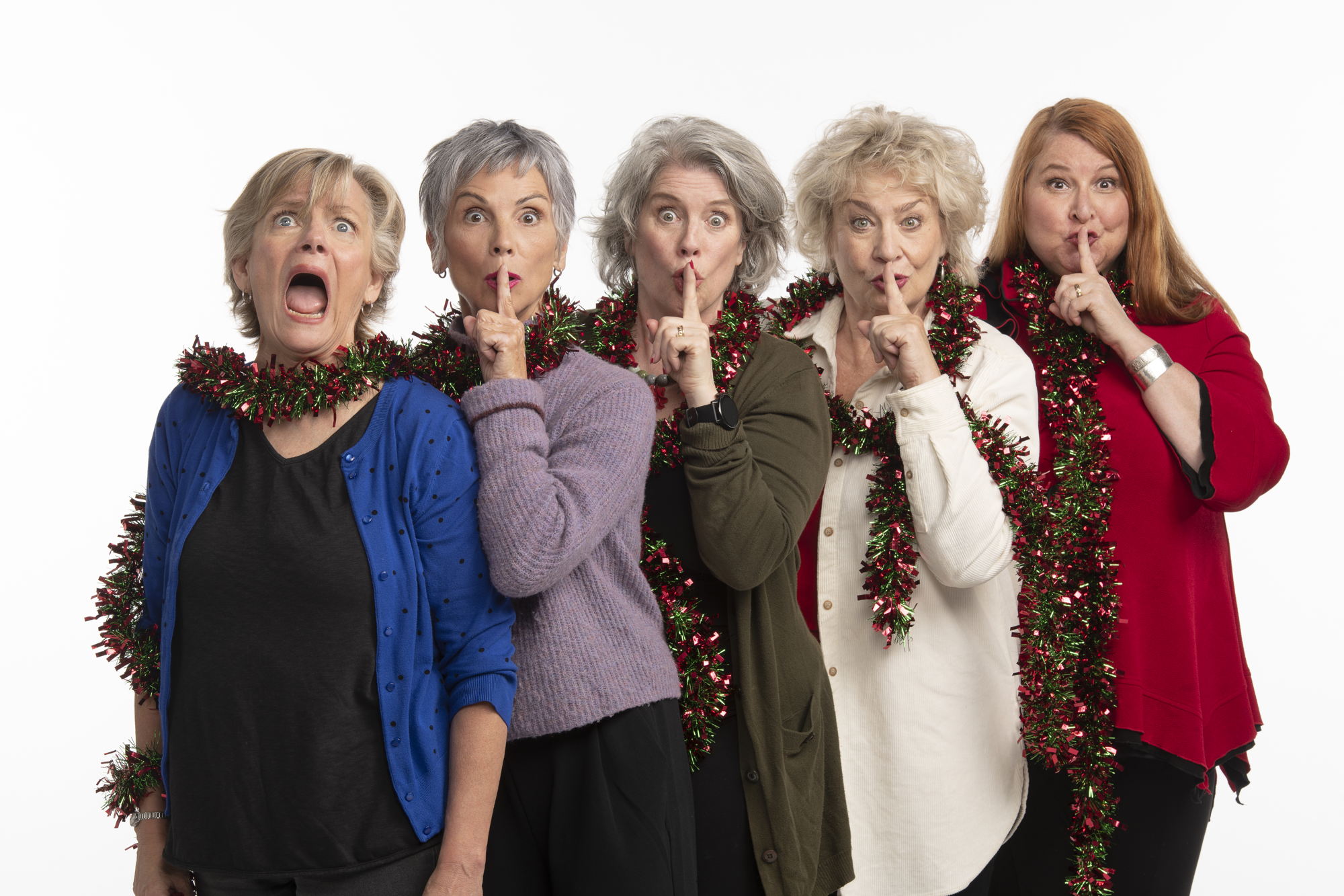 Robin Nichol,  Jill Daum, Alison Kelly, Barbara Pollard, and  Deborah Williams In Mom’s the Word: Talking Turkey / Photo by David Cooper