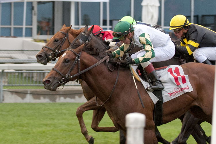Big Invasion and jockey Dylan Davis winning the Nearctic Stakes on October 8, 2023 at Woodbine (Michael Burns Photo)