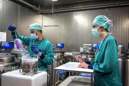 Weefselbank Brussels IVF – UZ Brussel