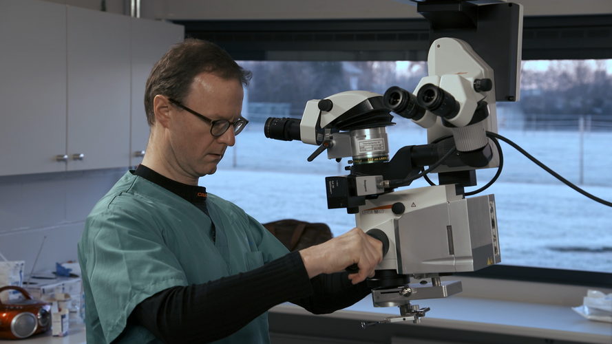 Professor Stalmans