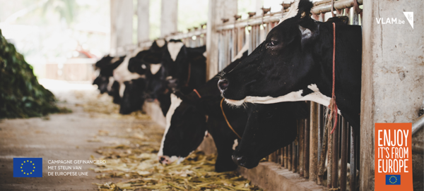 Duurzame toekomst voor de melkveehouderij