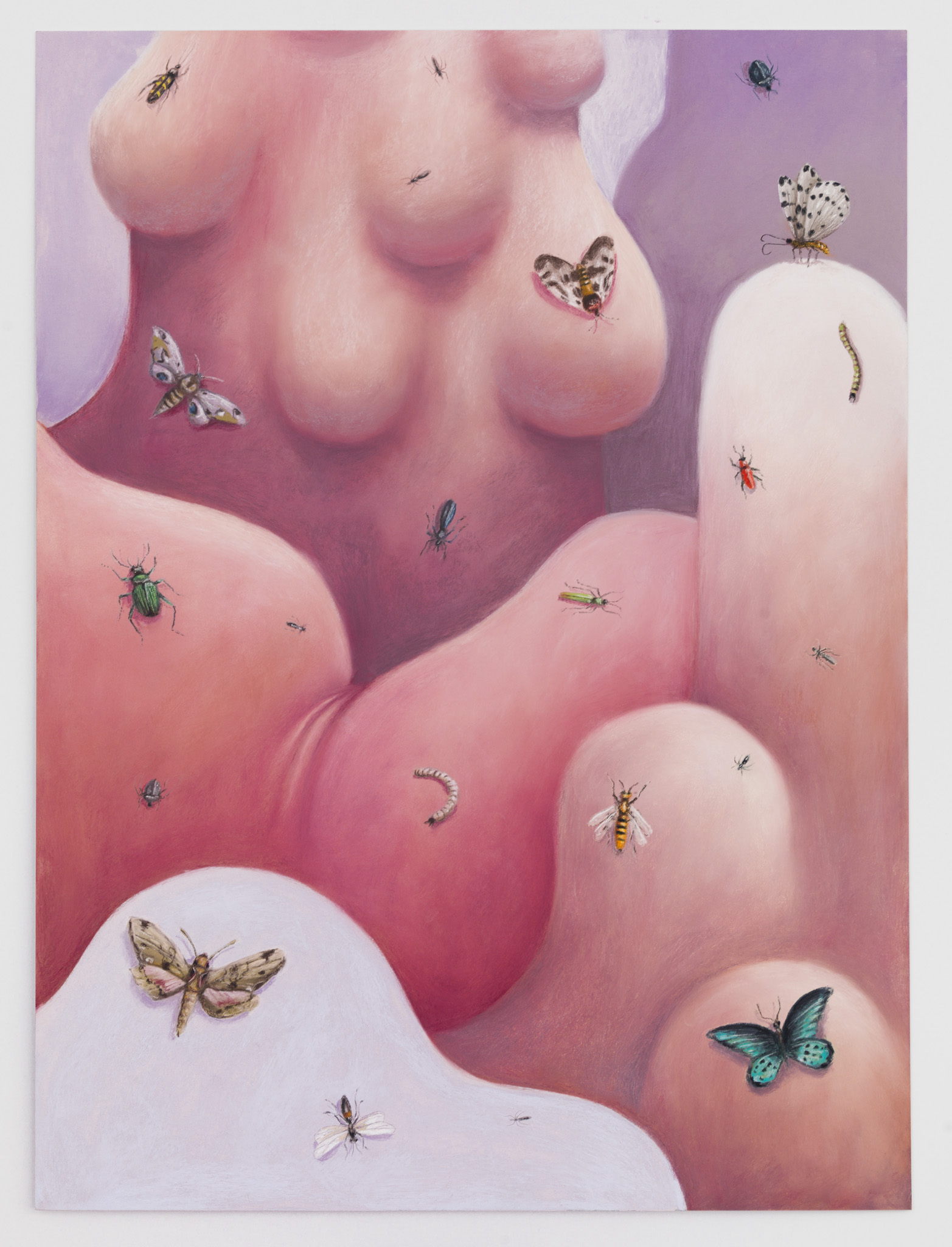 Nicolas Party, Insects, 2019. Soft pastel on cardboard, 59.6 × 66.9 cm.
Courtesy the Artist and Xavier Hufkens, Brussels