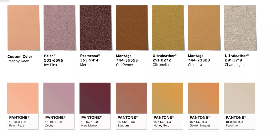 The Sanctuary Palette