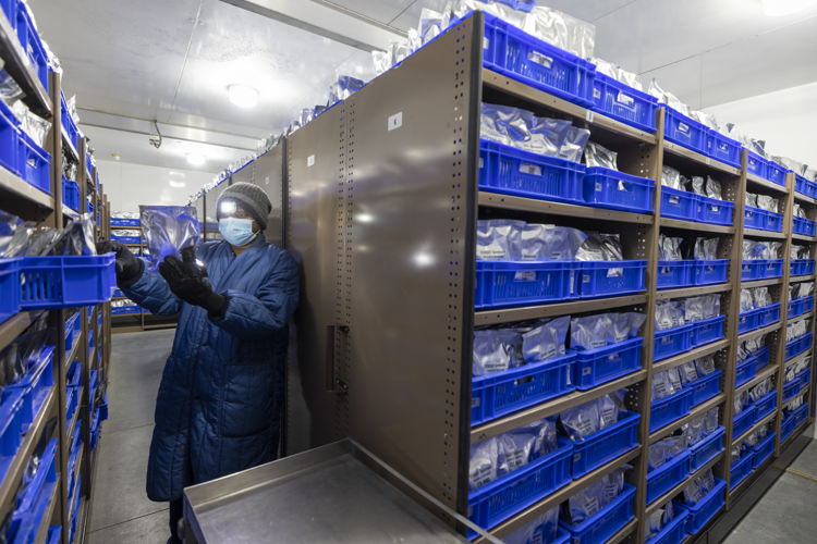 ICRISAT Genebank 