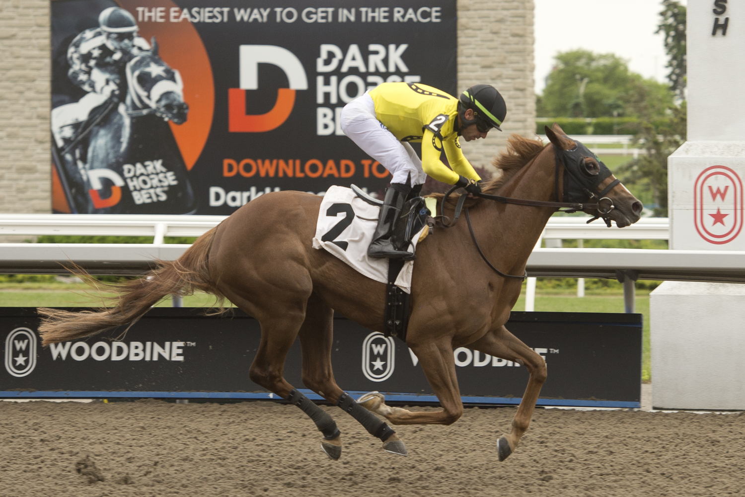 Sister Seagull winning on June 5, 2022 at Woodbine. (Michael Burns Photo)