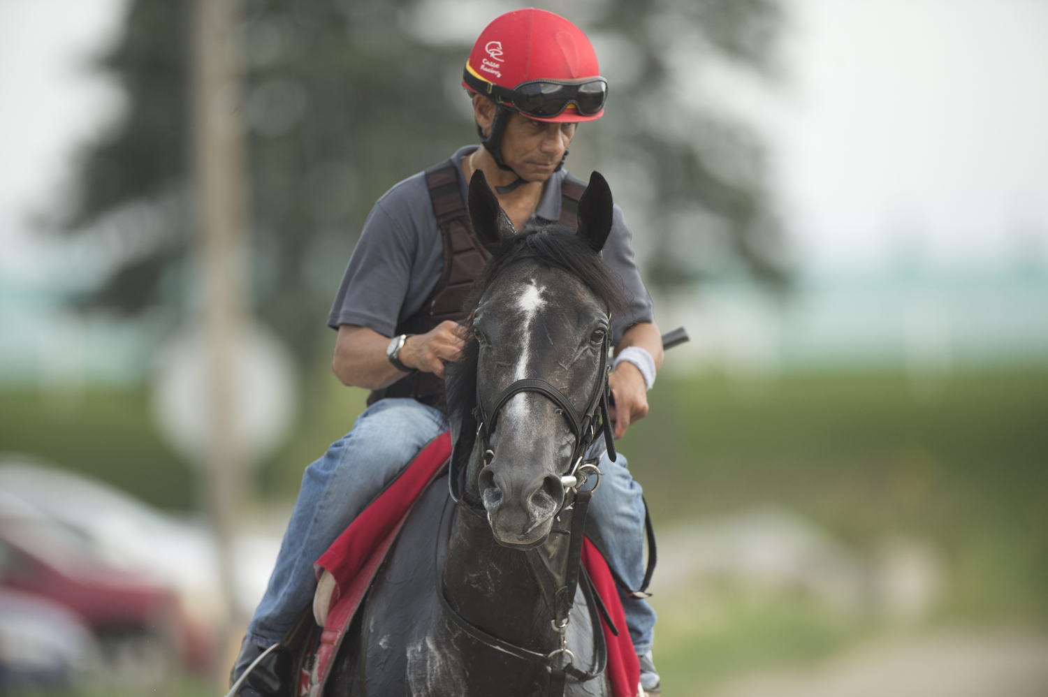 Swift Delivery training at Woodbine (Michael Burns Photo)