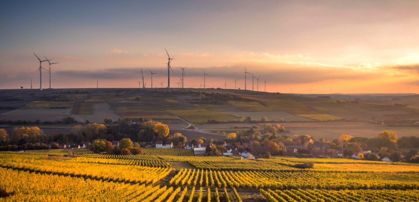 Mars publishes “accelerated, affordable and achievable” net zero roadmap to cut emissions 50% by 2030 across full value chain 