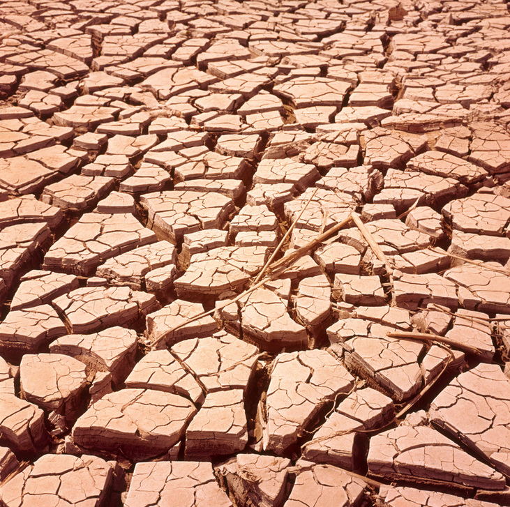 Dried, cracked earth, in Bayou La Batre, Alabama. AKG8195693 ©akg-images / Maurice E. Landre / SCIENCE SOURCE Dried, cracked earth, in Bayou La Batre, Alabama. AKG8195693 ©akg-images / Maurice E. Landre / SCIENCE SOURCE