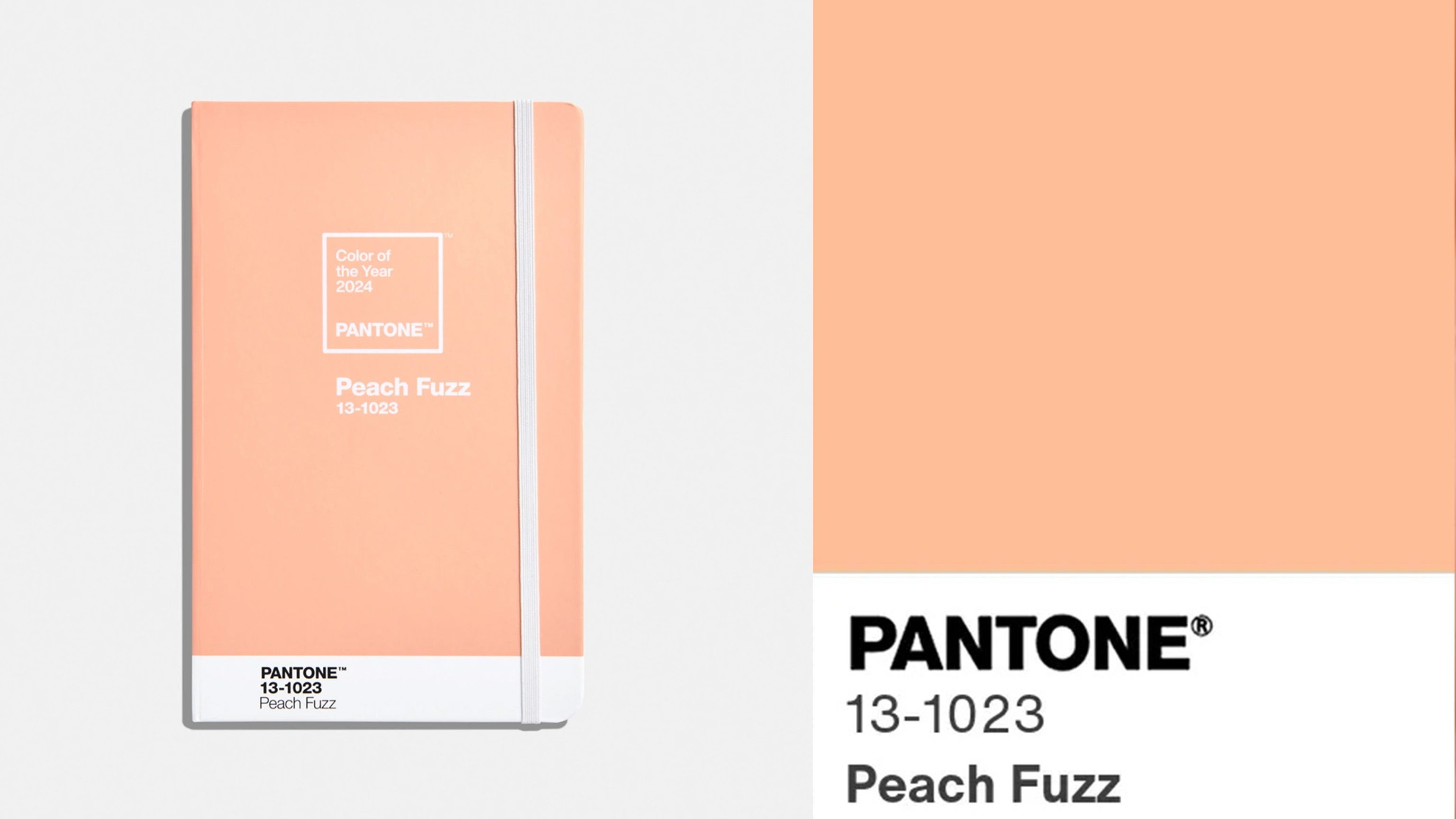Pantone Peach 2023