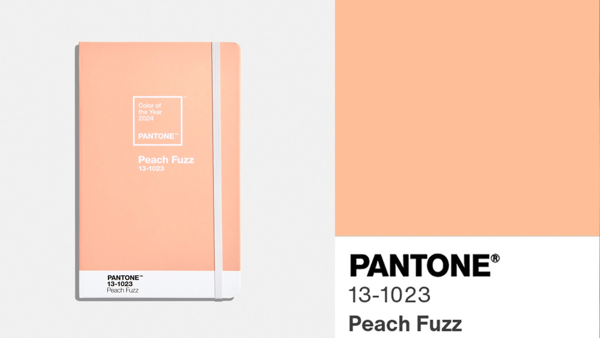 Cap sur "Peach Fuzz" en 2024 !