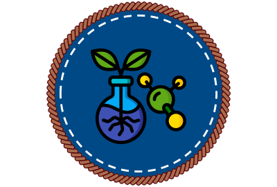 An example of a badge: Nepris Virtual Summer Camp - STEM Elementary 