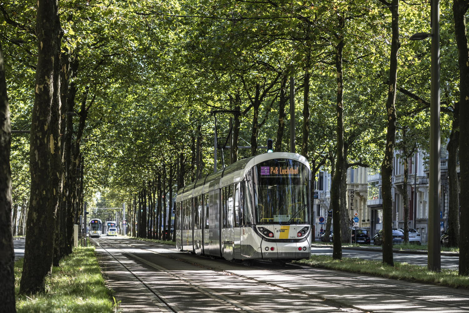 Tram in Antwerpen