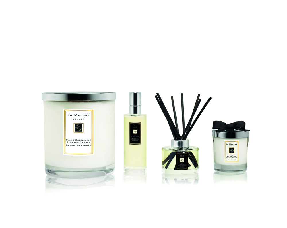 Pine & Eucalyptus Collection