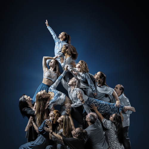 In het nieuwe Dance Dreams gaan zeven jonge gedreven Vlaamse danstalenten en hun ouders tot het uiterste om hun droom te bereiken