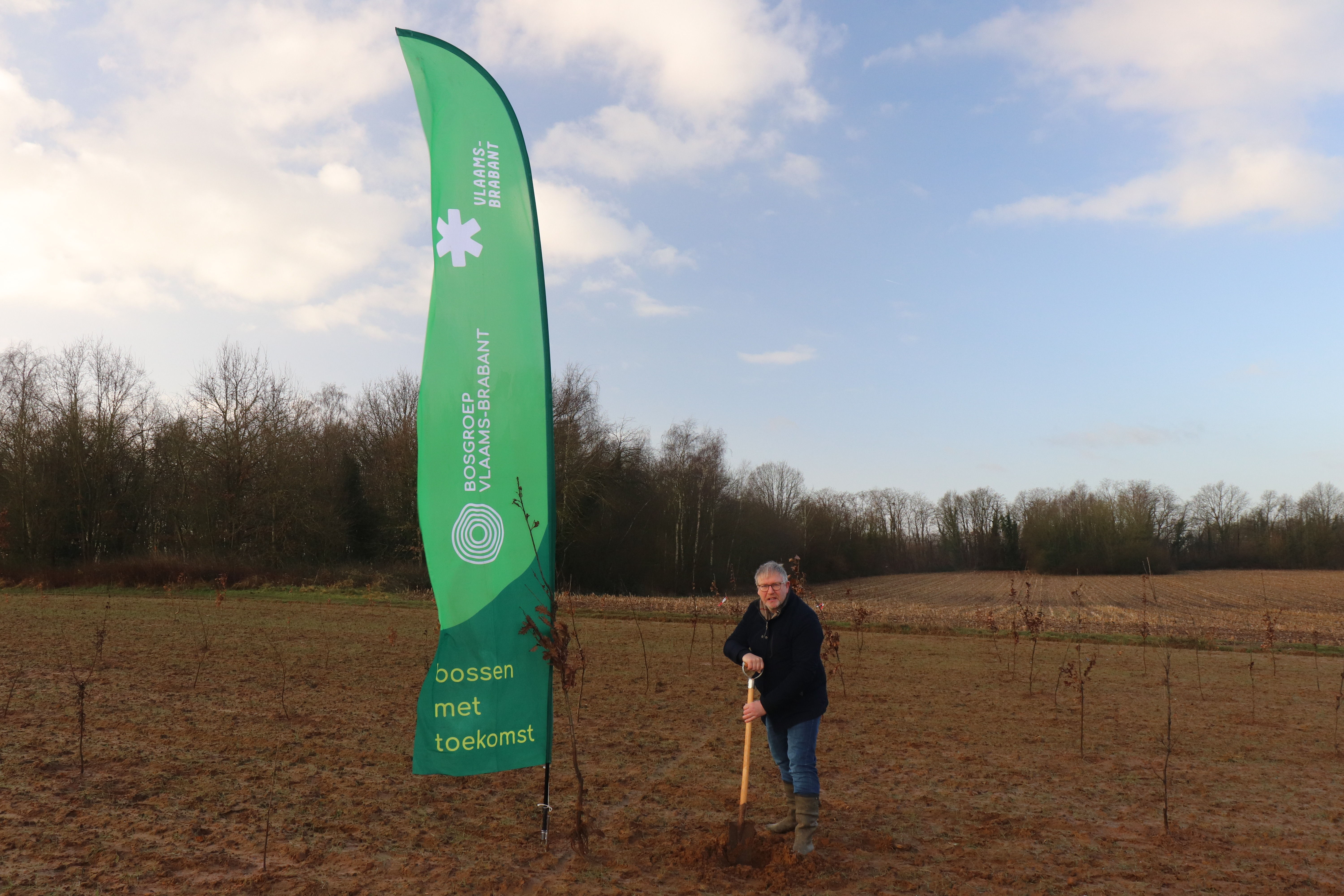 In Langaard (Holsbeek) worden 16.100 bomen geplant als compensatie voor de natuurinrichtingswerken in Het Vinne