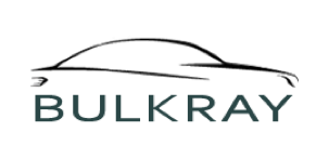 Logo Bulkray