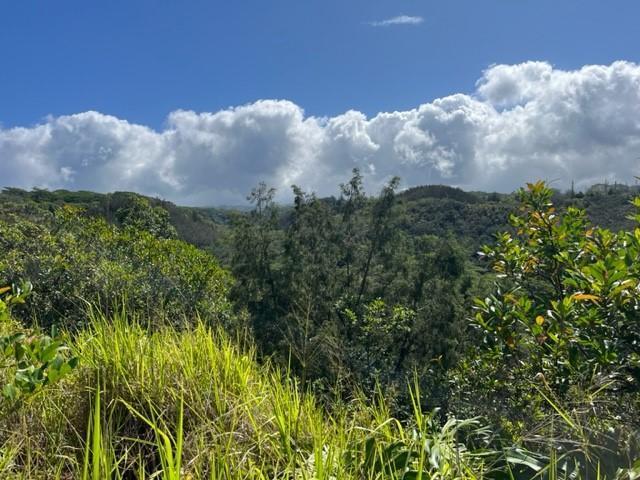 Hawai‘i Permanently Protects 234 Acres for Agriculture in Wahiawā