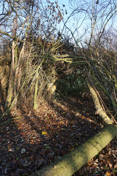 De Gavers Speelbos 
