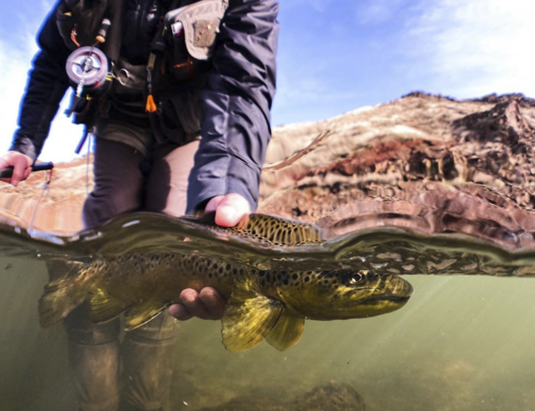 Take Photos Of Your Catch Of The Day With AquaTech's AxisGO