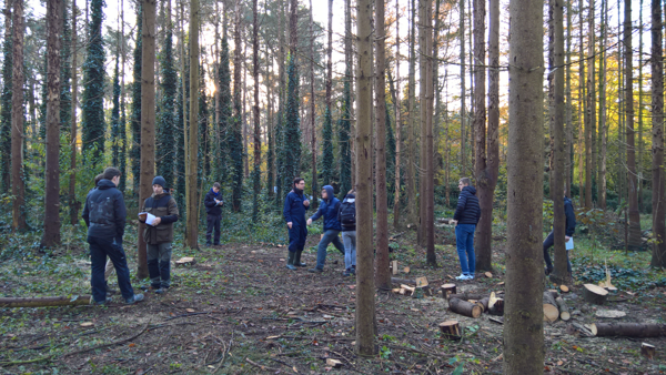 Odisee-studenten Groenmanagement verjongen eigen bos met 500 bomen