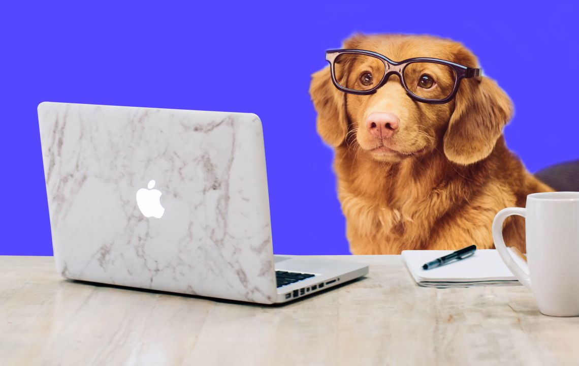 Help: Revamps to help you work smarter! ✨