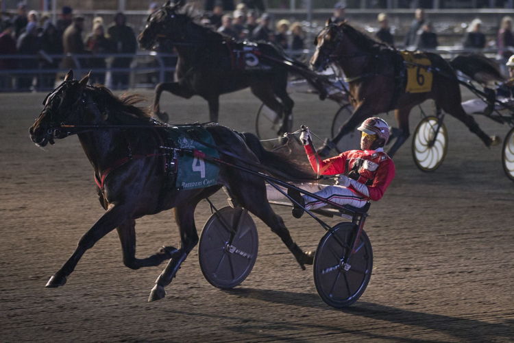 Amigo Volo winning the Breeders Crown 2-Year-Old Colt and Gelding Trot in 2019 at Woodbine Mohawk Park. (New Image Media)