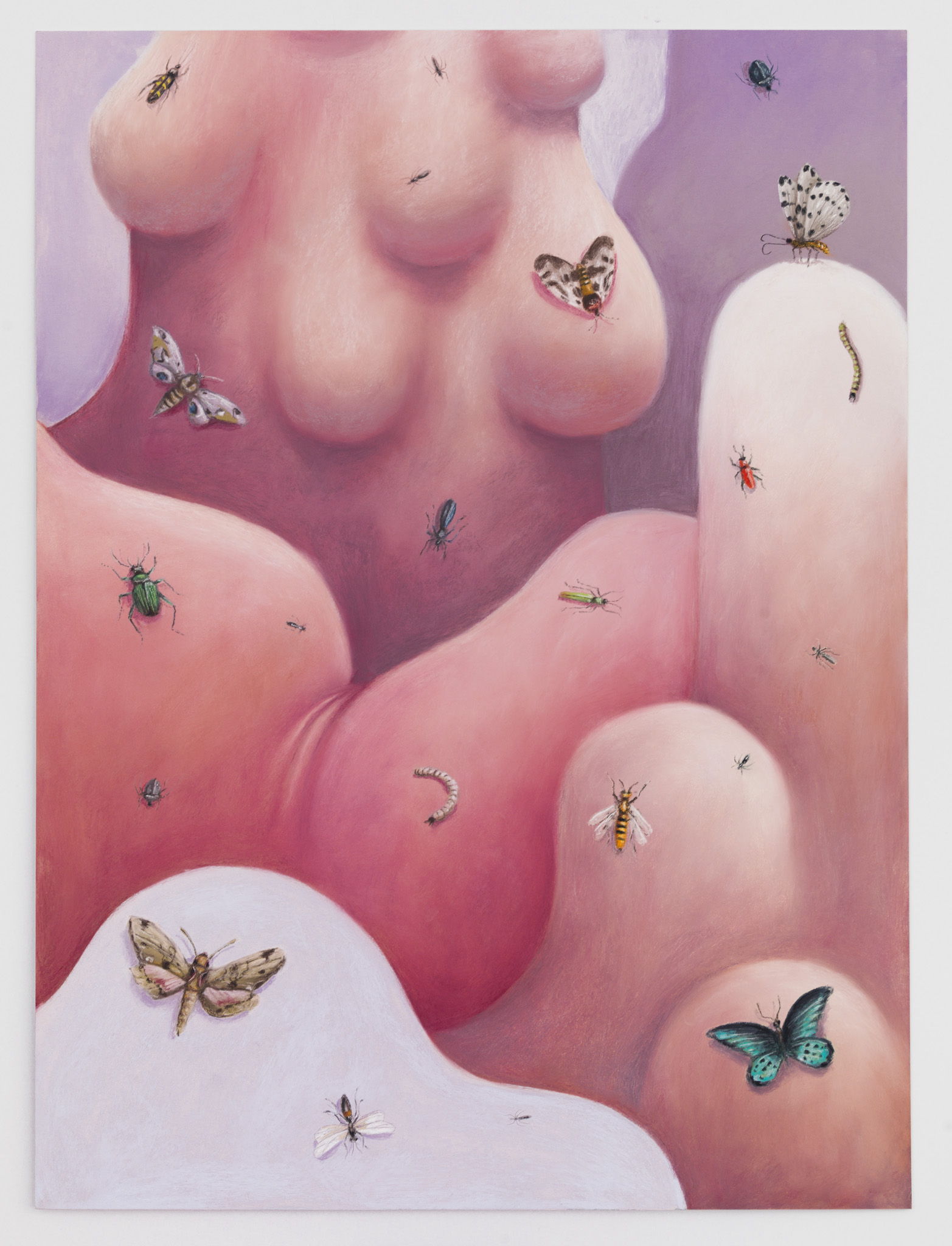 Nicolas Party, Yet to be titled (Turquoise Moth), 2019. Soft pastel on cardboard, ​75,2 x 55,7 cm.
Courtesy: the Artist and Xavier Hufkens, Brussels. Photo credit: Adam Reich