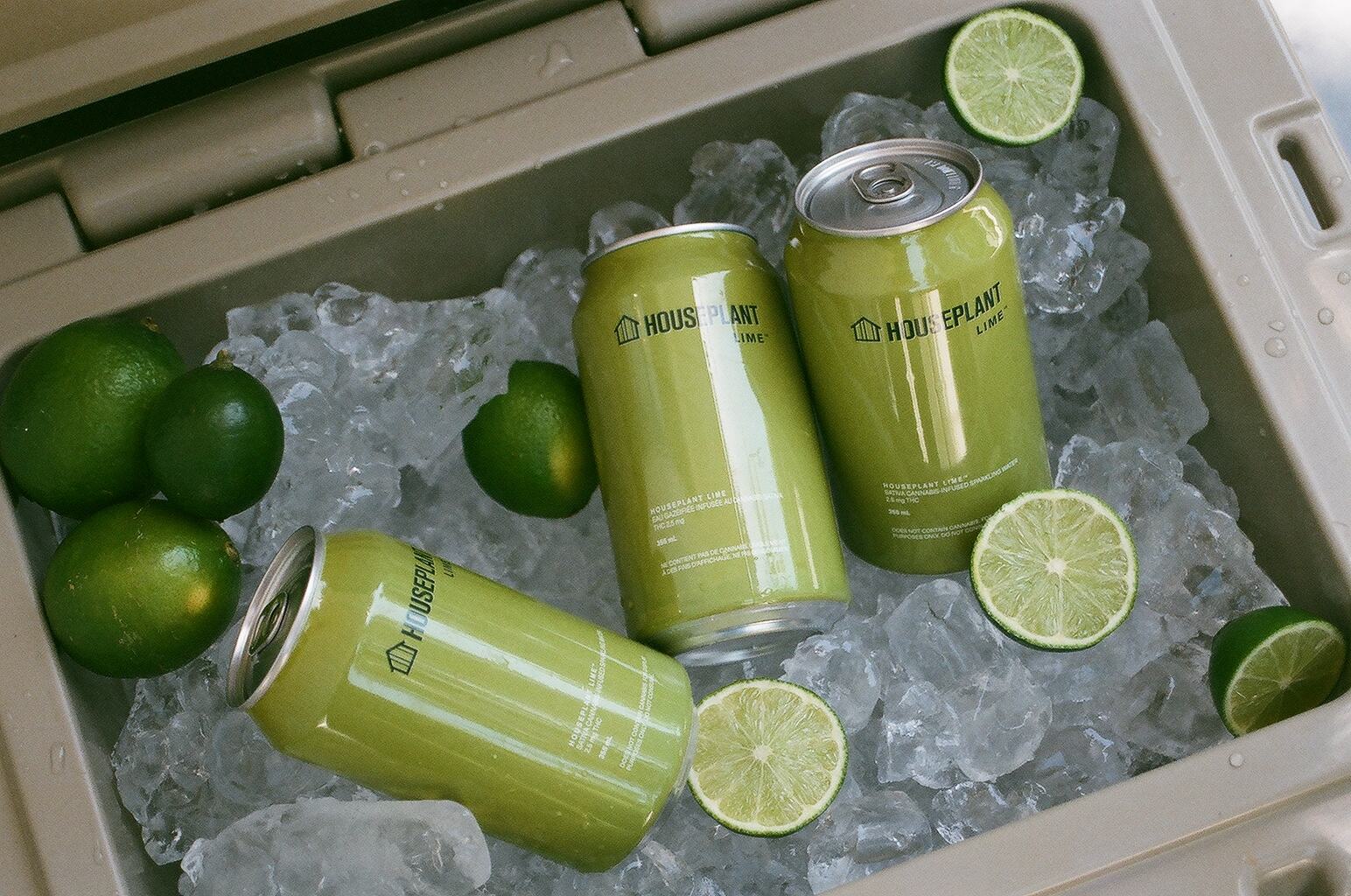 Meet Lime: The Newest Houseplant Beverage