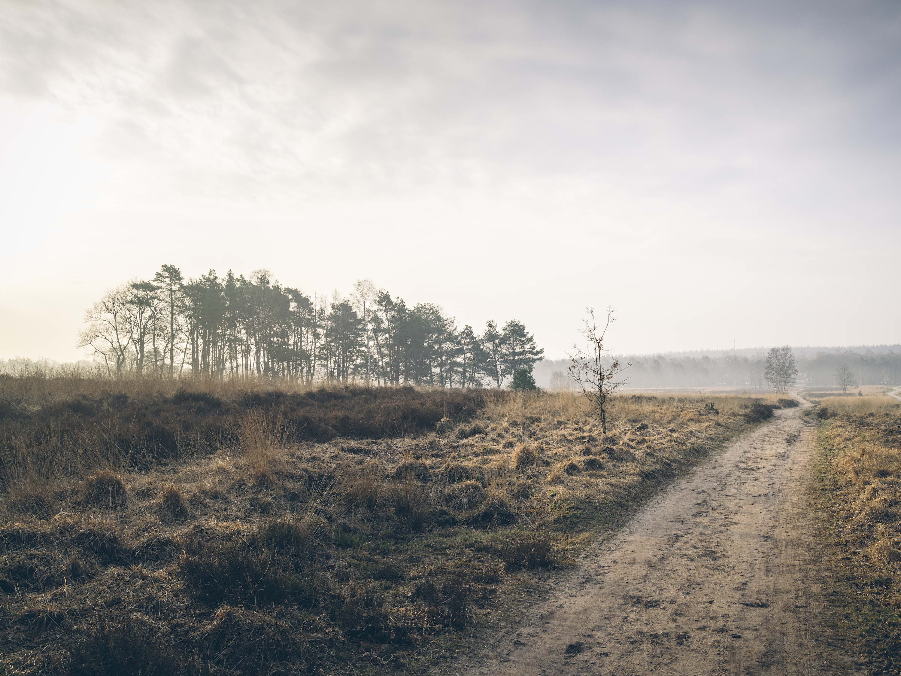 Een sportieve vakantie in de natuur gepland?
