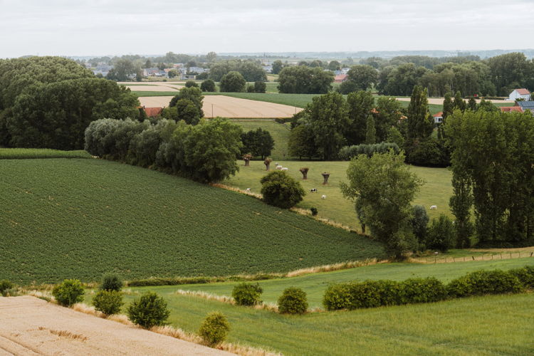 Landschapspark Vlaamse Ardennen - copyright Bjorn Snelders